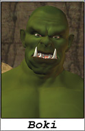 Boki