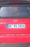 Darvinia