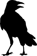 The Society of the Raven